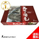 天使の海老 1kg 30〜40尾入り 誕生日 プレゼント ギフト ゴダック 刺身 冷凍 生食 背ワタ 化粧箱 箱入り 海老しゃぶ 海鮮丼 海老 えび エビ 醤油...