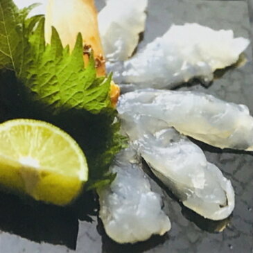 天使の海老1kg箱入り (20〜30尾入り)刺身用 特大