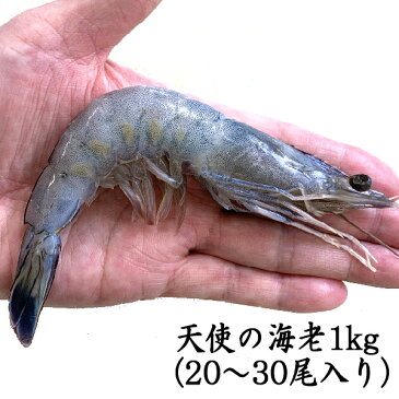 天使の海老1kg箱入り (20〜30尾入り)刺身用 特大
