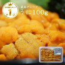 無添加 生 ウニ 100g 業務用 訳あり 回転寿司 海鮮丼 手巻き 寿司 ネタ 瓶詰 刺身 お刺身 バター 雲丹 醤油 パスタ 通販 美味しい レシピ うにに...