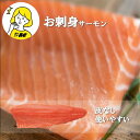 ＼ 送料無料 ／大人の お刺身 サーモン 刺身 トラウトサーモン 約800g から 1kg 皮はぎ加工済 鮭 シャケ 刺身 皮剥ぎ 手巻き寿司 回転寿司 海鮮丼 ひな祭り ちらし寿司 生食用 骨なし 皮なし ポキ丼 海鮮 BBQ バターソテー ホイル焼き 一級品 高品質 ワンフローズン P10