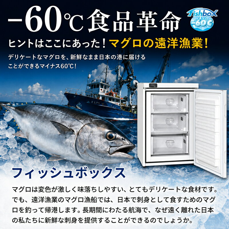 【ポイント10倍】超低温冷凍庫 ダイレイ フィッシュボックス FBD-50 -60℃ 51L 家庭...