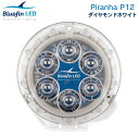 ◆◇PIRANHA P12 ダイヤモンドホワイト◇◆ この水中ライトは、最大20m、65ftのボートに適しています。 ■ランプ最大：8000ルーメン ■最大ワット数：55ワット ■カラー：白/青 ■電圧：12Vまたは24V両対応 ■消費電力：12V4.6アンペア、24V 2.35アンペア ■LED数：12個 ■ビーム角度：60度 ■重量：約500グラム ■厚み：17.6mm ■直径：110mm ■LEDの大きさ：30mm ■PCD：98mm ■材質：ベース部高質ブロンズ、レンズ部は高衝撃耐性ポリマーにフジツボや藻などの付着防止加工。 ■保護機能：熱制御、過電圧保護、電極逆接続保護