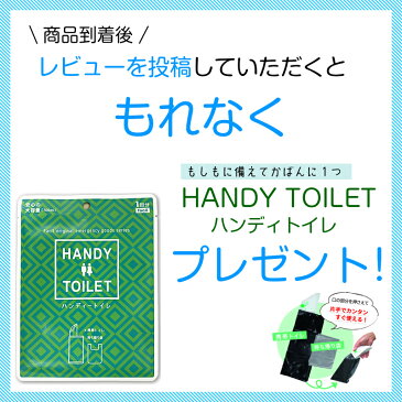 【送料無料】 トーイングチューブ 2人乗り スピードゾーン | トーイングチューブ ボート 2人 二人乗り トーイング グッズ 浮き輪 浮輪 ウキワ うきわ 大人 大人用 子供 子供用 子ども おしゃれ フロートボート プール 海水浴 海 ビーチグッズ ビーチ ジェットスキー