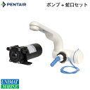★今月は5倍!★シャフロ(Shurflo) PENTAIR 小型ポンプ 12V& 水道蛇口 セット 94-009-20 | キャンプ 蛇口 ノーマルポンプ アウトドア 放水 水 流し