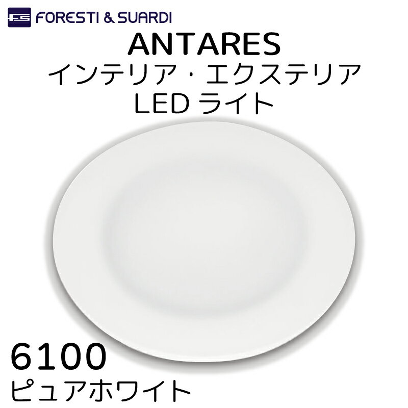 ForestiSuardi ANTARES 6100 ԥ奢ۥ磻  | 롼饤 LED ƥꥢ饤  ꥢ 饹 Ϥ߼ ܡ ԥ󥰥 ƥꥢ饤