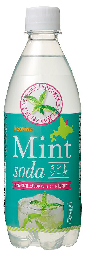 爽快な冷涼感 滝上町産和ミントを使用した香料を使ったソーダ セイコーマート Secoma ミントソーダ 500ml 24本入 セコマ ミント 和ハッカ 滝上町 ソーダ サイダー ペットボトル 24本 送料無料 ケース 人気の春夏