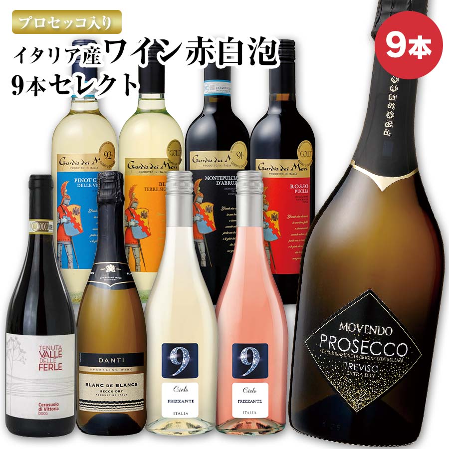 【金賞ワイン5本入り】セイコーマート Secoma プロセッコ入り イタリア産ワイン赤白泡9本セレクト 赤ワイン 白ワイン スパークリングワイン イタリア産 プロセッコ フリザンテ 受賞ワイン お試しワイン ワイン飲み比べ ワインセット 送料無料のサムネイル