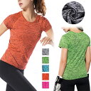 レディース トップス 半袖 Tシャツ スポーツ ジム ヨガ ジョギング トレーニング スポーティ アウトドア 霜降りカラー ラウンドネック 春 夏 1802