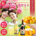 梅酒 ゆず酒 2本セット 請福酒造 720ml ギフト箱付 リキュール 梅酒 ゆず酒 2本セット 請福酒造 720ml ギフト箱付 リキュール