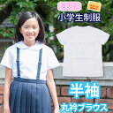 半袖 丸襟 ブラウス 小学生 制服 【女の子】（ホワイト 白 シャツ SCHOOL BLOUSE 子供服 フォーマル 子供 キッズ ジュニア 女児 女子 女子用 小学校 学校用 通学用 スクール）(店頭受取対応商品)