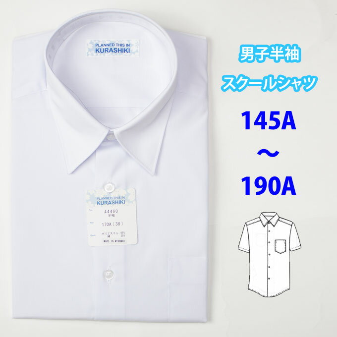 スクールシャツ 半袖 男子 形態安定 立衿 (A体 145A〜190A) (スクール/シャツ/半袖/白/制服/男子/メンズ/ブランド/人気/通学/中学生/高校生/学生/入学)(店頭受取対応商品)