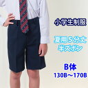 小学生 制服 半ズボン 5分丈 紺 B体 130B〜170B 【夏用】（サマー/ネイビー/冬ズボン/子供服/フォーマル/子供/キッズ/ジュニア/男児/男子/小学校/学校/通学/スクール/制服/学生/短パン）(店頭受取対応商品)