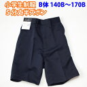 Y{ 5 w   lCr[ SchoolUniform (B 140B`170B)iY{EqEtH[}EqELbYEWjAEjEjqEwZEwZpEʊwpEXN[EZpj(XΉi)