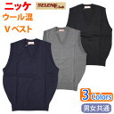制服 ベスト 無地 ベスト ウール混 男女兼用 丸洗いOK SELENE-Club ニッケ NIKKE(スクール/ベスト/男子/メンズ/女子/レディース/ブラン...