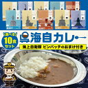 レトルト 詰め合わせ 【 呉海自カレー ＼選べる／10食セット(ピンバッチのおまけ付き) 】海上自衛隊 呉基地 艦艇 海上 自衛隊 海自 呉 自衛隊 自衛隊グッズ ギフト お歳暮 プレゼント