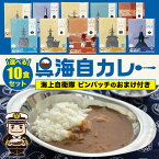 レトルト 詰め合わせ 【 呉海自カレー ＼選べる／10食セット(ピンバッチのおまけ付き) 】海上自衛隊 呉基地 艦艇 海上 自衛隊 海自 呉 自衛隊 自衛隊グッズ ギフト お歳暮 プレゼント