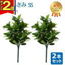 【ポイント2倍|15日迄】【楽天1位】\お得な2本セット!/【造花 しきみ SS】対 全長約31cm 創価学会 まるで本物 シキミ しきび 樒 仏壇 仏具 SGI おしきみ おしきび しきみ お供え 仏壇 墓参り お彼岸 お盆 造花