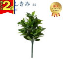 【期間限定|P2倍】【楽天1位】【造花 しきみ SS】 全長約31cm 創価学会 まるで本物 シキミ ちょい足し しきび 樒 仏壇 仏具 SGI おしきみ おしきび しきみ お供え 仏壇 墓参り お彼岸 お盆 造花