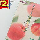 【P2倍|マラソン限定】線香 いい香り 自宅用【新鮮フルーツの香り (桜梅桃李) 約100g】微煙 仏前 仏壇用 ちょい足し ルームイノセンス 薫寿堂 桃 フルーツ 盆