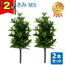 【P2倍|マラソン限定】【楽天1位】\お得な2本セット!/【造花 しきみ MS】対 全長約50cm 創価学会 まるで本物 シキミ しきび 樒 仏壇 仏具 SGI...