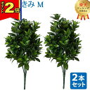 【P2倍|マラソン限定】【楽天1位】\お得な2本セット!/【造花 しきみ M】対 全長約57cm 創価学会 まるで本物 シキミ しきび 樒 仏壇 仏具 SGI ...