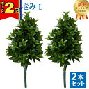 【P2倍|マラソン限定】【楽天1位】\お得な2本セット!/【造花 しきみ L】対 シキミ しきび 樒 仏壇 仏具 まるで本物 全長約64cm 創価学会 SGI ...