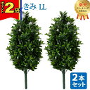 【P2倍|マラソン限定】【楽天1位】\お得な2本セット!/【造花 しきみ LL 】全長約82cm 創価学会 まるで本物 シキミ しきび 樒 仏壇 仏具 SGI ...