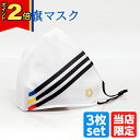 【P2倍|マラソン限定】当店限定!【創価マスク 三色旗 八葉紋入り 3枚セット】創価学会 学会員 マスク 専用 ポッキリ 周年 記念 創立 100周年 青年 飛...