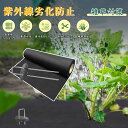 防草シート 2m×50m 高密度120g/m2 除草シート ぼうそうシート 不織布 シート 厚手 高耐久性 雑草防止 透水性 遮光性アップ 防そうシー