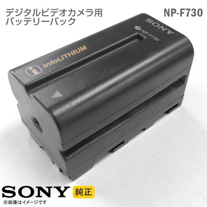 あす楽★ [純正] SONY バッテリーパッ