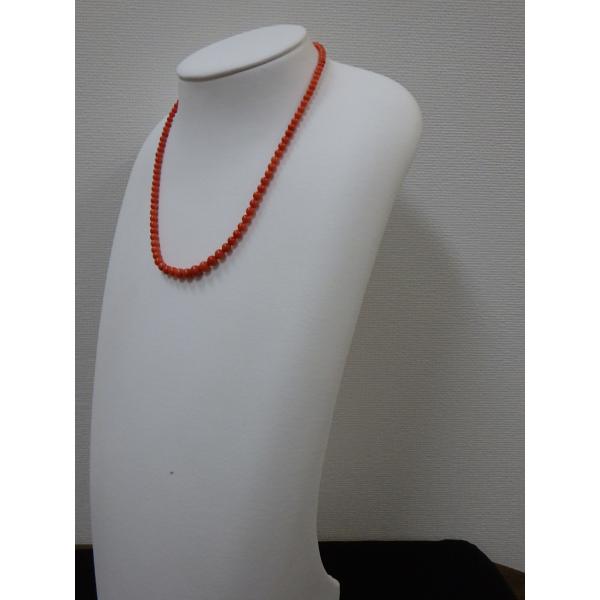 ���른�ݶ�