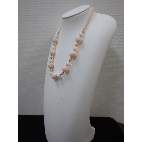 ミッド珊瑚エルオタ