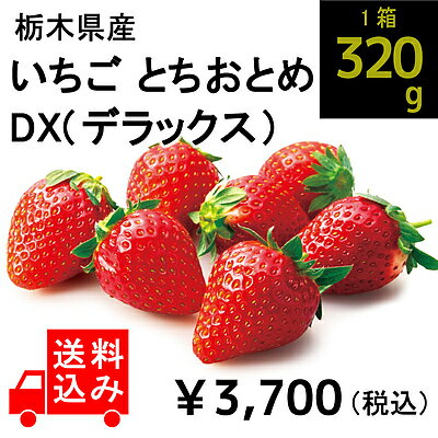 【送料込み・成城石井バイヤー厳選！】【W】 栃木県産いちご とちおとめDX(デラックス) 1箱(約320g) | 着日指定不可 / 沖縄・離島配送不可 / 今月のおすすめ