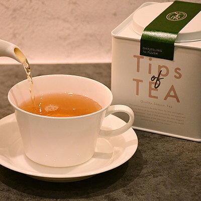 Tips of TEA Qシーズンティーダージリ