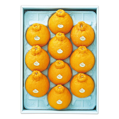 【お歳暮】【WNF】佐賀県松浦東部産 ハウスデコポン 10個 | 12月10日より順次お届け