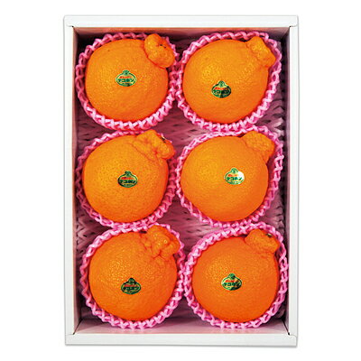 【お歳暮】【WNF】佐賀県松浦東部産 ハウスデコポン 6個 | 着日指定不可 / 12月10日より順次お届け(4)