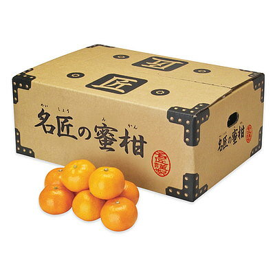 【お歳暮】【WF】静岡県産 名匠のみかん 5.0kg(Lサイズ) | 着日指定不可 / 12月1日より順次お届け