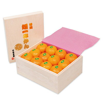 【お歳暮】【WRNF】愛媛県産 小林果樹園 媛一みかん 2.5kg(Mサイズ) | 着日指定不可 / 12月1日より順次..