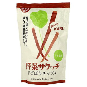 イー・有機生活 野菜サクッチ 国産ごぼうチップス 30g×2袋