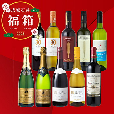 【冬の福箱#11】シャンパーニュが1本入って1本あたり1,390円！「酒部門」2023年間ベストヒットワイン詰合せ 750ml×10本 福袋 | 着日指定不可のサムネイル