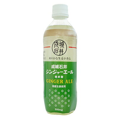 リニューアル成城石井 ジンジャーエール 500ml×24本