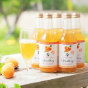 【お取り寄せ】【WRN】横島物産 特選杏スパークリング 310ml×6本入 | 沖縄離島配送不可