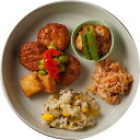 成城石井 やまだ式ロカボBento 肉団子の黒酢あんかけと麻婆豆腐の中華風弁当 1食 | D+2