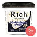 共進 リッチザヨーグルト