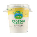 中沢 クロテッド 100g〔5504〕