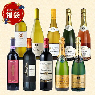 【冬の福袋#11】2025年ベストヒットワイン詰合せ10本セット | 12月27日出荷のサムネイル