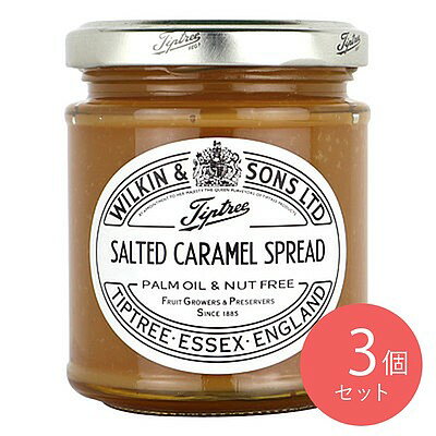 チップトリー ソルティッドキャラメルスプレッド 210g×3個