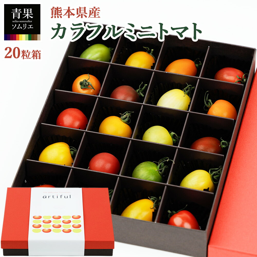 カラフルミニトマト 熊本県産 20個入り トマト ギフト 食べ比べ 高級 野菜ギフト お取り寄せ 贈答用 誕生日 お祝い お礼 内祝い 手土産