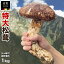 松茸 中国産 訳あり 超特大サイズ 800g~ 1kg (3~4本入り) 空港直送 生松茸 特選 業務用 一級品 ひらき ..